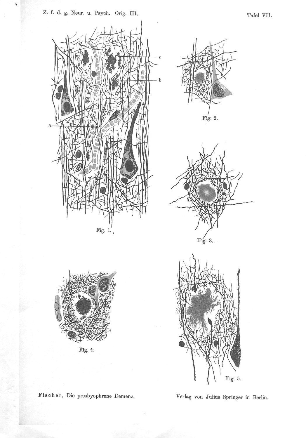 Tafel VII of the 1910 monograph